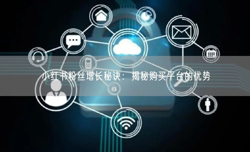 小红书粉丝增长秘诀：揭秘购买平台的优势