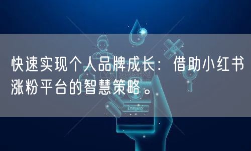 快速实现个人品牌成长:借助小红书涨粉平台的智慧策略。