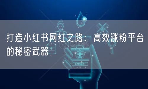 打造小红书网红之路:高效涨粉平台的秘密武器