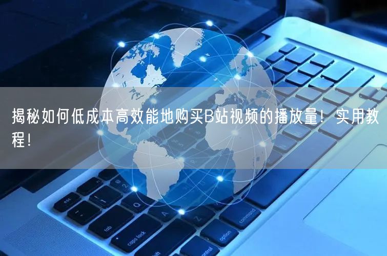 揭秘如何低成本高效能地购买B站视频的播放量！实用教程！