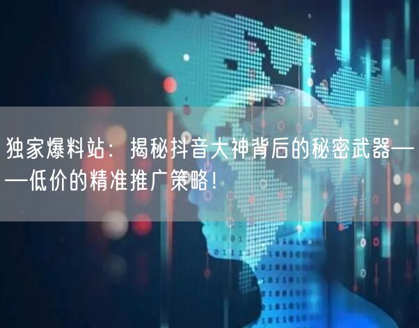 独家爆料站：揭秘抖音大神背后的秘密武器——低价的精准推广策略！