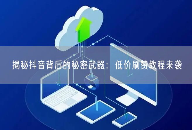 揭秘抖音背后的秘密武器：低价刷赞教程来袭