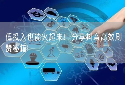 低投入也能火起来！分享抖音高效刷赞秘籍!