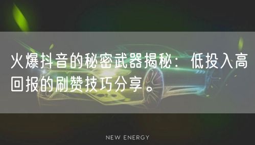 火爆抖音的秘密武器揭秘：低投入高回报的刷赞技巧分享。