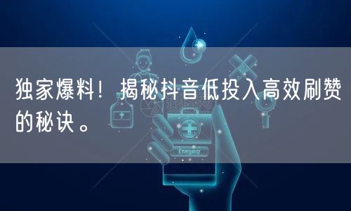 独家爆料！揭秘抖音低投入高效刷赞的秘诀。