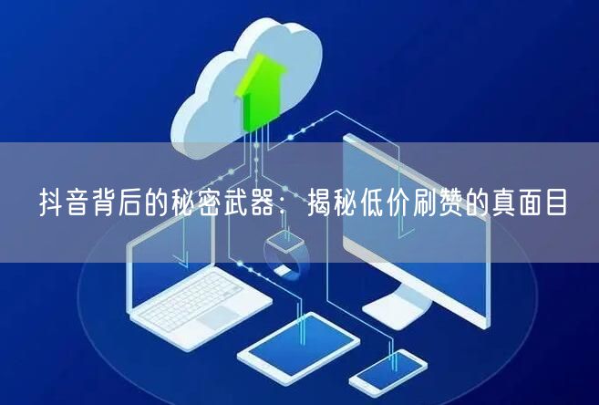 抖音背后的秘密武器：揭秘低价刷赞的真面目