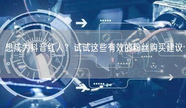 想成为抖音红人？试试这些有效的粉丝购买建议。