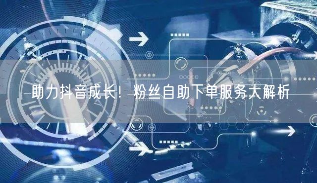 助力抖音成长！粉丝自助下单服务大解析