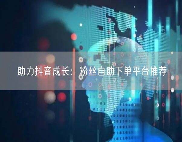 助力抖音成长：粉丝自助下单平台推荐