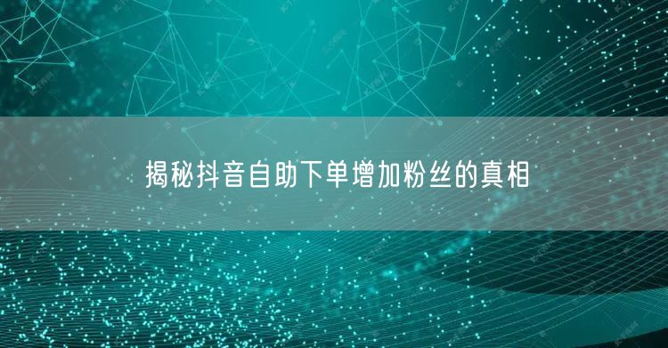 揭秘抖音自助下单增加粉丝的真相