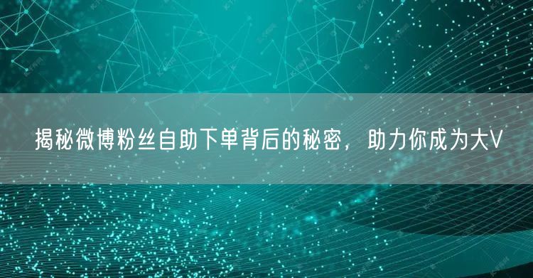 揭秘微博粉丝自助下单背后的秘密，助力你成为大V