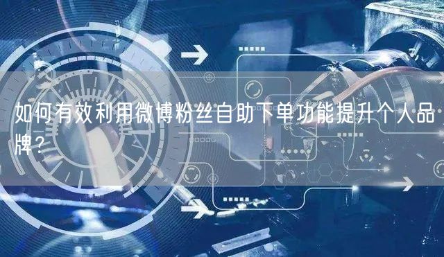 如何有效利用微博粉丝自助下单功能提升个人品牌？