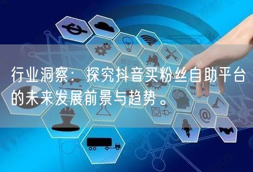行业洞察：探究抖音买粉丝自助平台的未来发展前景与趋势。