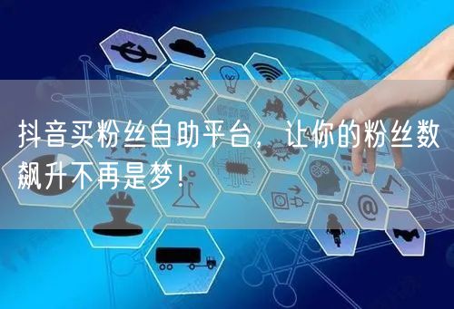 抖音买粉丝自助平台，让你的粉丝数飙升不再是梦！