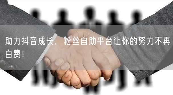 助力抖音成长，粉丝自助平台让你的努力不再白费！