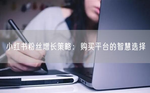 小红书粉丝增长策略：购买平台的智慧选择