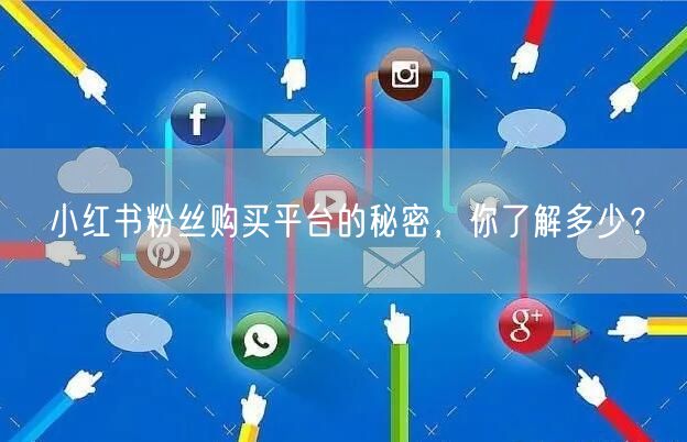 小红书粉丝购买平台的秘密，你了解多少？