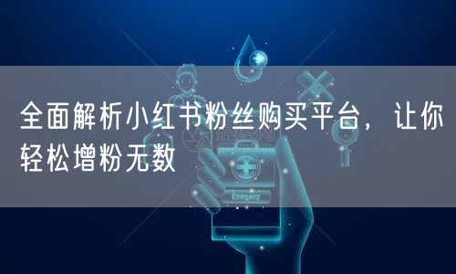 全面解析小红书粉丝购买平台，让你轻松增粉无数