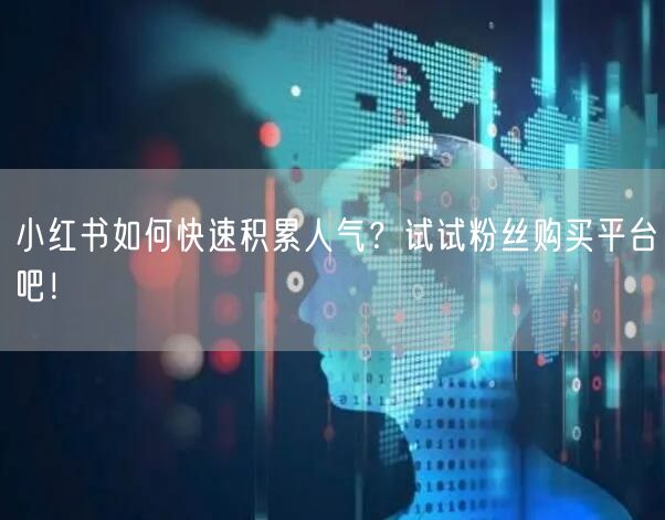 小红书如何快速积累人气？试试粉丝购买平台吧！