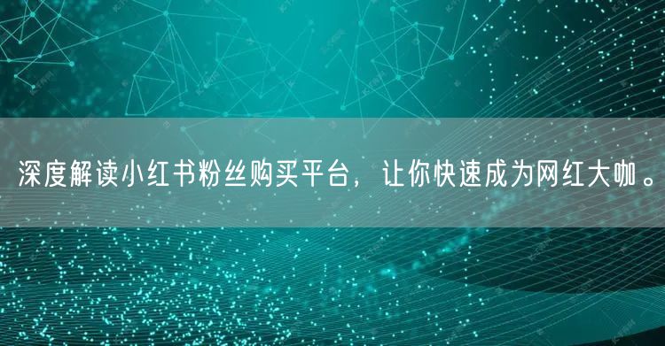 深度解读小红书粉丝购买平台，让你快速成为网红大咖。