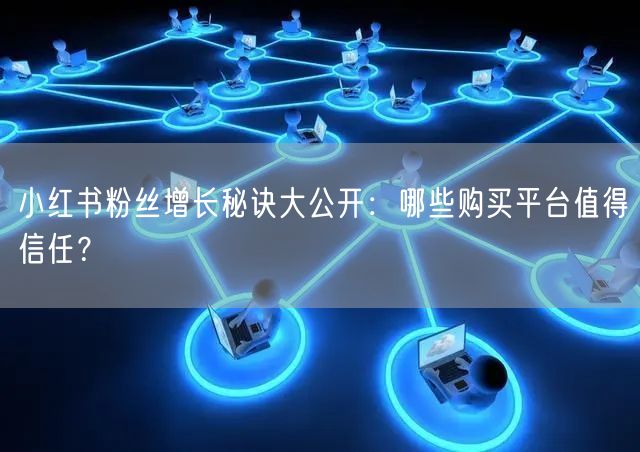 小红书粉丝增长秘诀大公开：哪些购买平台值得信任？