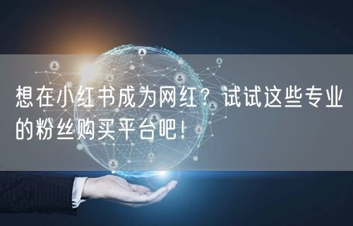 想在小红书成为网红？试试这些专业的粉丝购买平台吧！