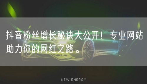 抖音粉丝增长秘诀大公开！专业网站助力你的网红之路。