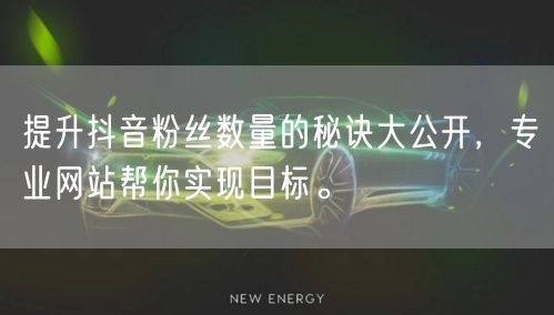 提升抖音粉丝数量的秘诀大公开，专业网站帮你实现目标。