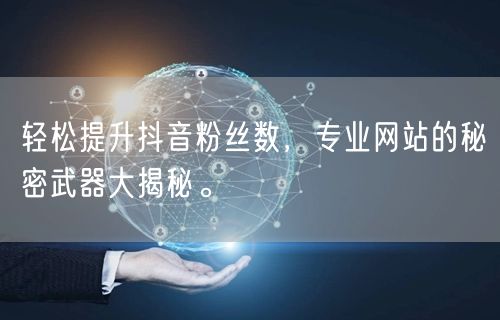 轻松提升抖音粉丝数，专业网站的秘密武器大揭秘。