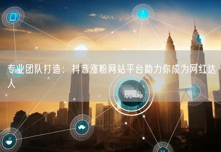 专业团队打造：抖音涨粉网站平台助力你成为网红达人