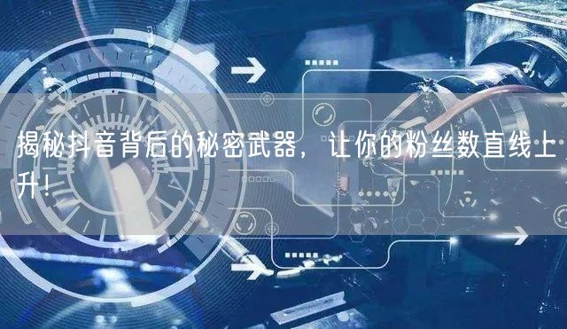 揭秘抖音背后的秘密武器，让你的粉丝数直线上升！