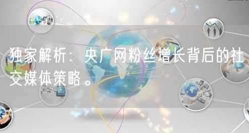 独家解析：央广网粉丝增长背后的社交媒体策略。