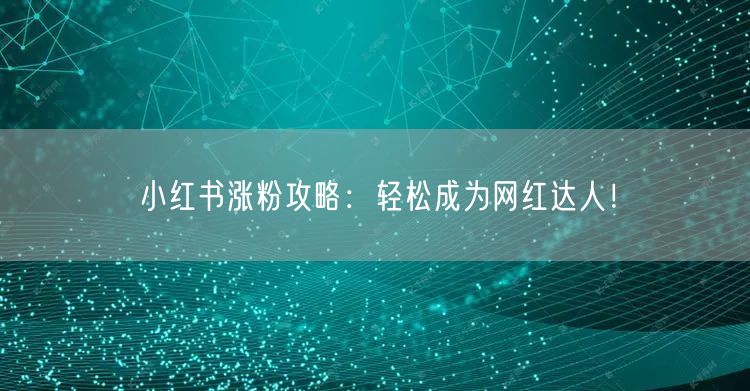 小红书涨粉攻略：轻松成为网红达人！