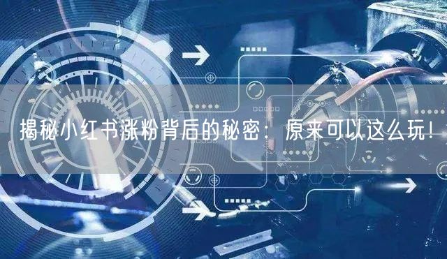 揭秘小红书涨粉背后的秘密：原来可以这么玩！