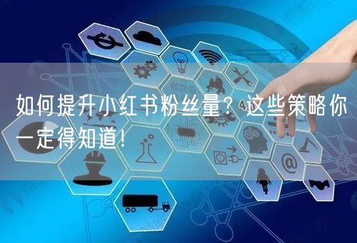 如何提升小红书粉丝量？这些策略你一定得知道！