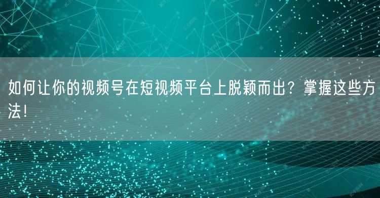 如何让你的视频号在短视频平台上脱颖而出？掌握这些方法！