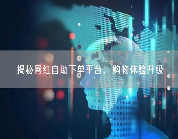 揭秘网红自助下单平台，购物体验升级
