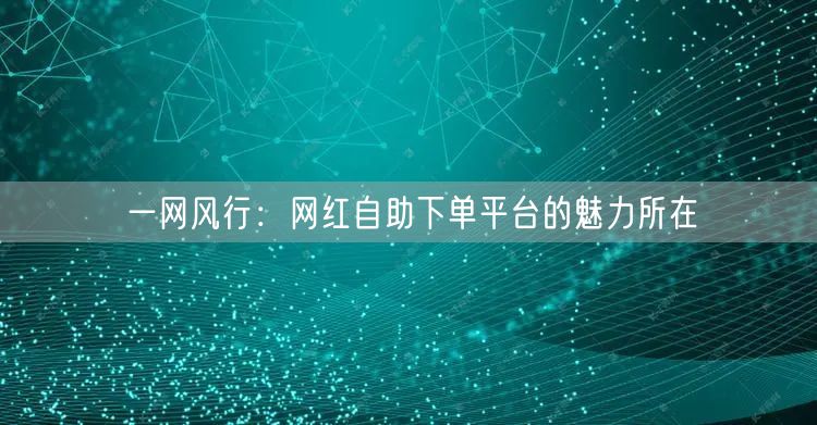 一网风行：网红自助下单平台的魅力所在