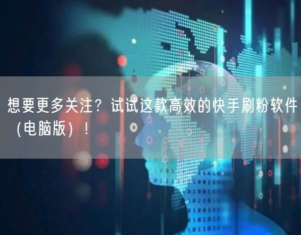 想要更多关注？试试这款高效的快手刷粉软件（电脑版）！