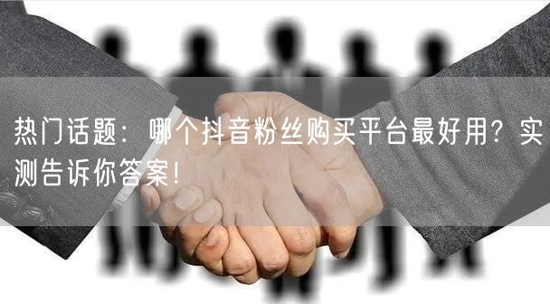 热门话题：哪个抖音粉丝购买平台最好用？实测告诉你答案！
