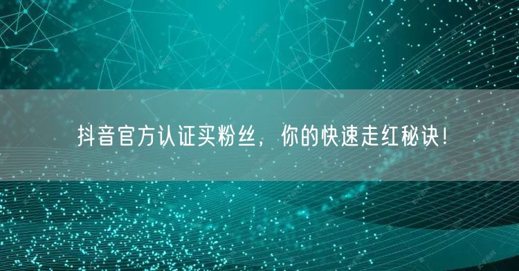 抖音官方认证买粉丝，你的快速走红秘诀！