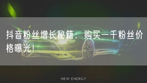 抖音粉丝增长秘籍：购买一千粉丝价格曝光！