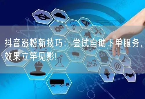 抖音涨粉新技巧：尝试自助下单服务，效果立竿见影!