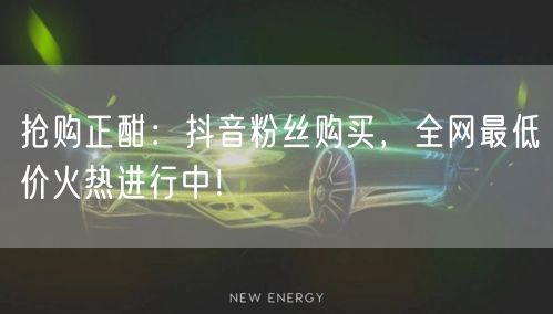 抢购正酣：抖音粉丝购买，全网最低价火热进行中！