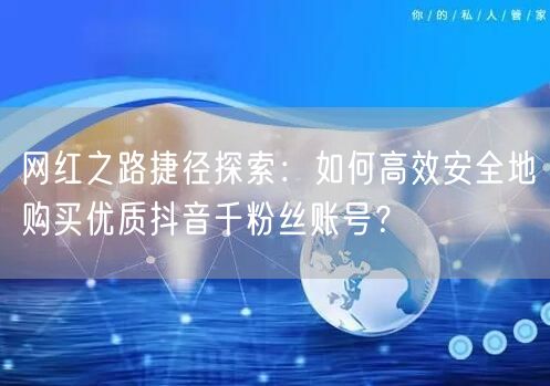 网红之路捷径探索：如何高效安全地购买优质抖音千粉丝账号？