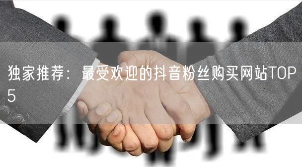 独家推荐：最受欢迎的抖音粉丝购买网站TOP5