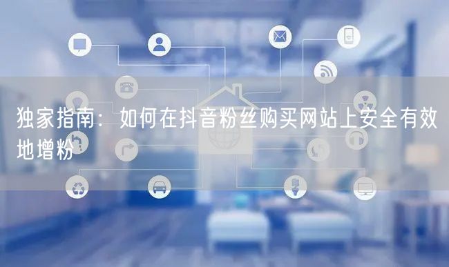 独家指南：如何在抖音粉丝购买网站上安全有效地增粉