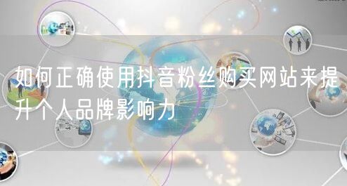 如何正确使用抖音粉丝购买网站来提升个人品牌影响力