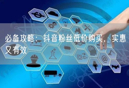 必备攻略：抖音粉丝低价购买，实惠又有效