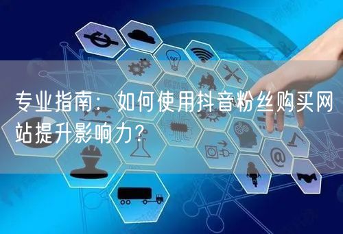 专业指南：如何使用抖音粉丝购买网站提升影响力？